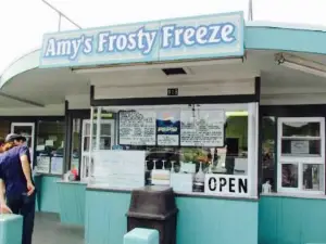 Amy's Frosty Freeze