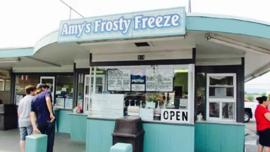 Amy's Frosty Freeze