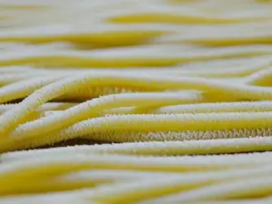Mediterraneo Pizzeria and Pasta