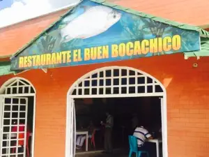 El Bocachico Elegante
