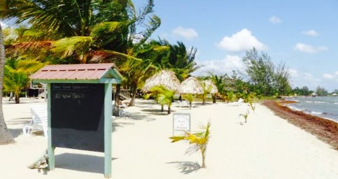 Green Parrot Beach Houses Restaurant