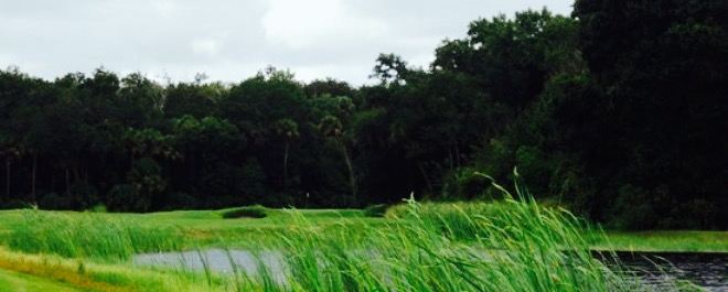 Indian River Preserve Golf Club