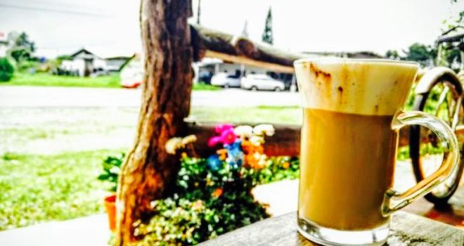 Cafe Volcan