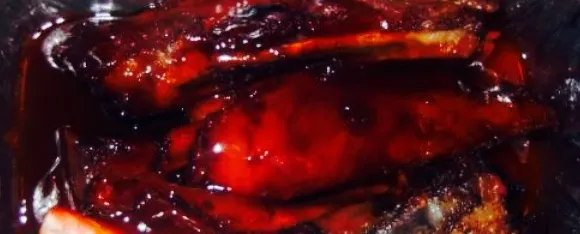 Full Moon Cantonese Cuisine