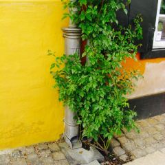Cafe Rabes Have User Photo