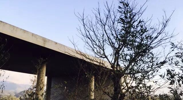 富貴牡丹餐廳