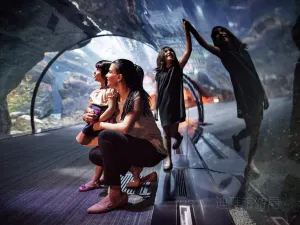 Dubai Aquarium & Underwater Zoo