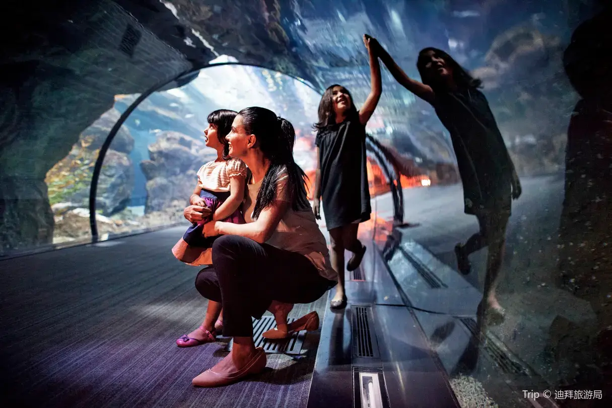 3_杜拜水族館和水下動物園