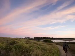 Griffiths Island