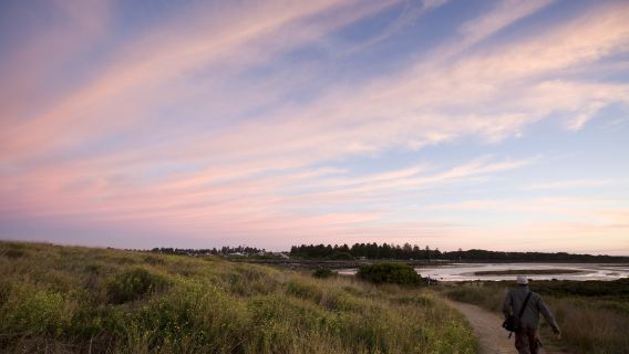Griffiths Island