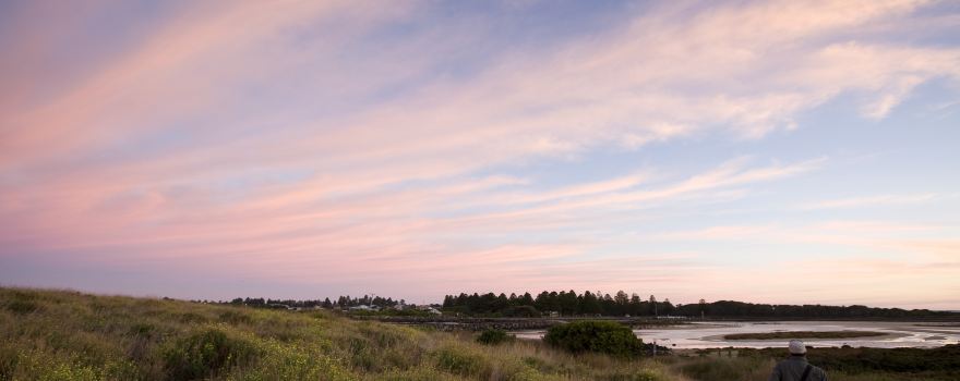 Griffiths Island