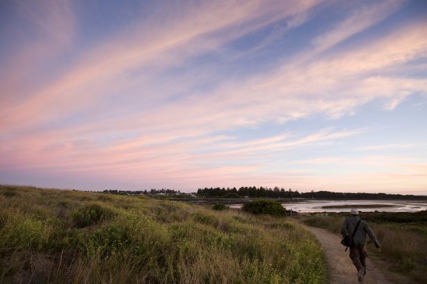 Griffiths Island