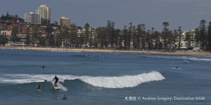 Queenscliff Beach