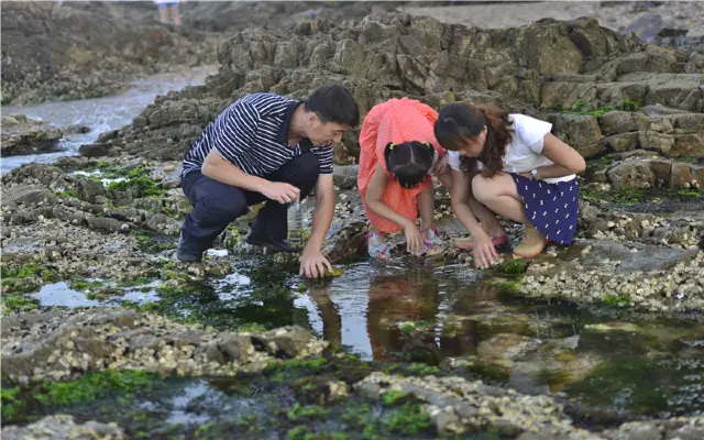 Beachcombing in Yantai