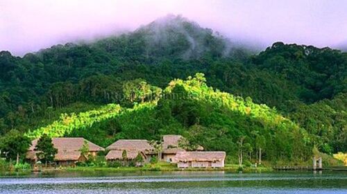 Jianfeng (Sharp Peak) Ridge National Forest Park