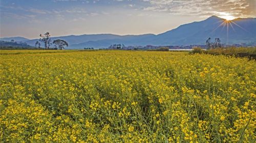 Changtai Ancient Mountain Scenic Area