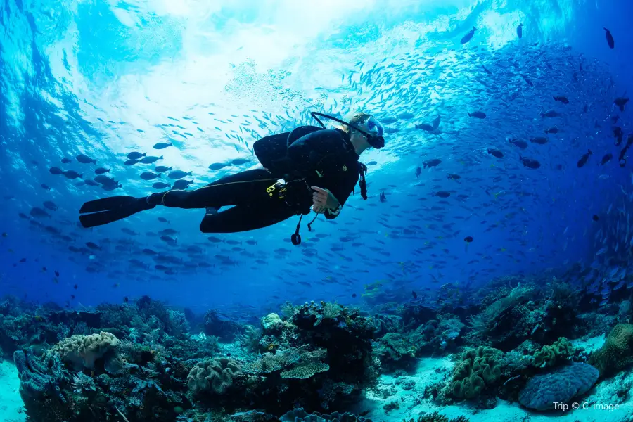 Bangtao Dive Center