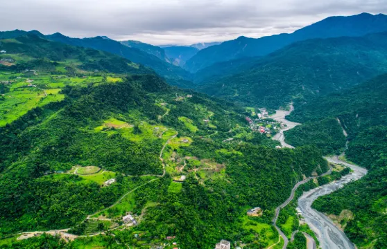 知本森林遊樂區門票優待