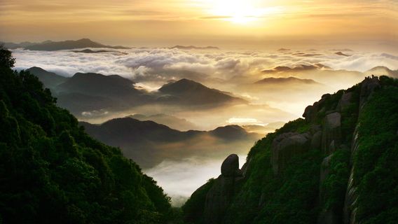 Ninh Đức