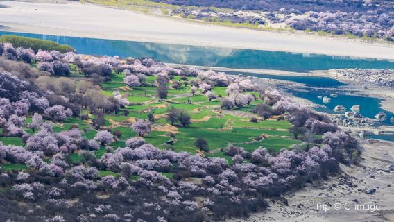 Bomi Peach Blossom Valley