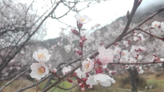 2018.3.27一早出發，明天才是嘎拉村投案化解開幕式，今