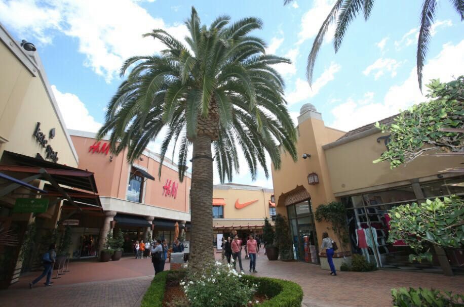 Citadel outlet clearance north face