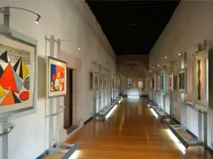 Pedro Coronel Museum (Museo de Pedro Coronel)