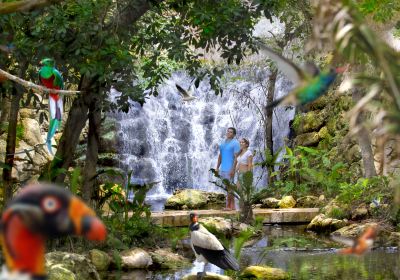 Parque Xcaret