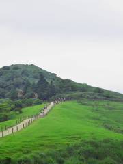 Qingtiangang Grassland