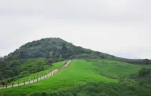 Qingtiangang Grassland