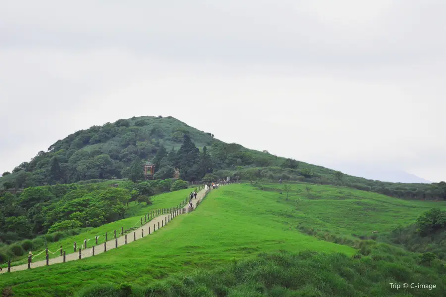 Qingtiangang Grassland