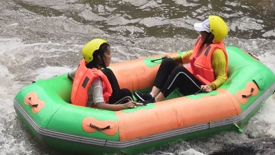 Mulberry Drifting
