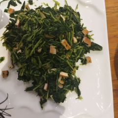 老古树餐厅(历史景点店) User Photo