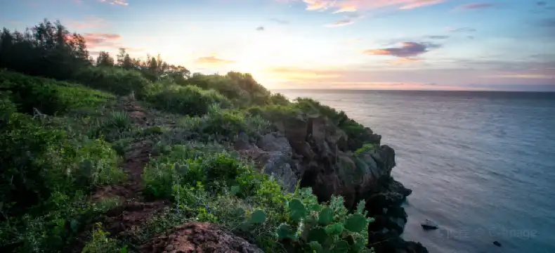 Echarm Properties in Danzhou