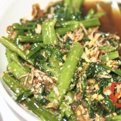 coca chu ảnh của người dùng
