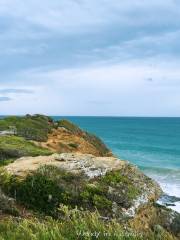 Eagle Rock Marine Sanctuary