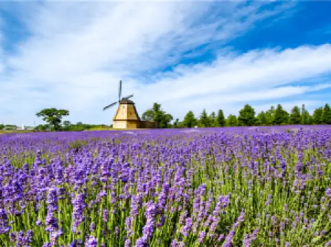 둥하이 산림온천 리조트