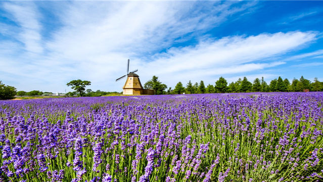 Donghai Forest Spa Resort