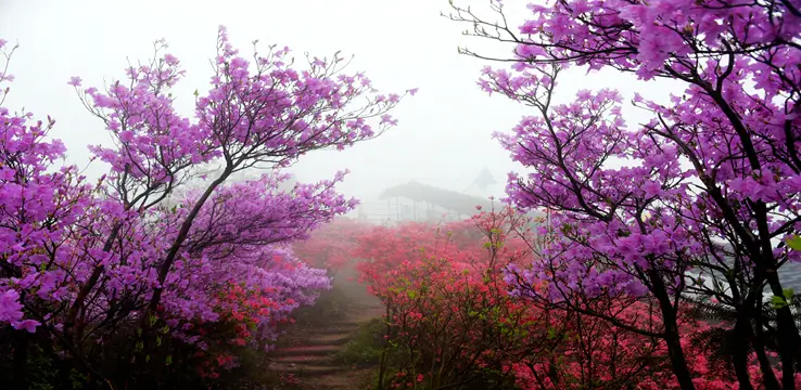 Tianmazhai Scenic Area in Yingshan County