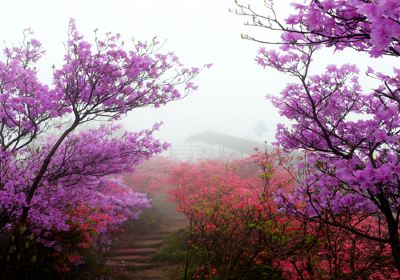 잉 산 현, 천마자이 관광 지역