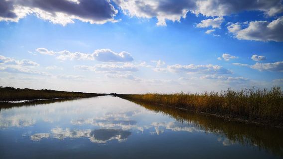 Shallow Basket Lake