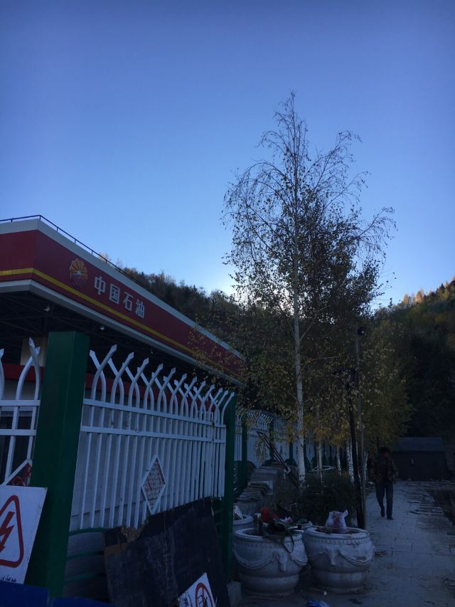 將軍山森林公園