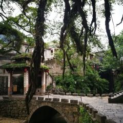黄姚大樟树农庄 User Photo