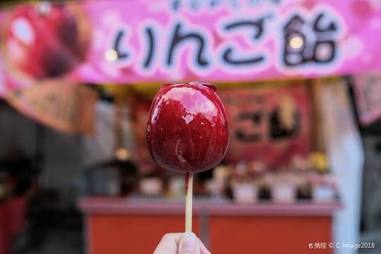 日本京都祇園+伏見稻荷大社+奈良公園+春日大社一日遊
