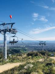 Christchurch Adventure Park