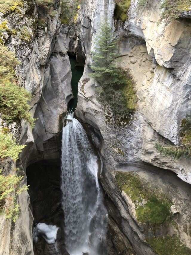 Maligne Canyon