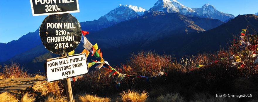 Poon Hill