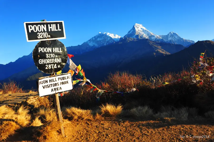 Poon Hill