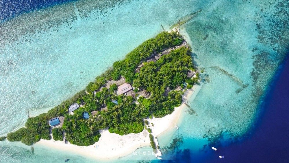 Himmafushi