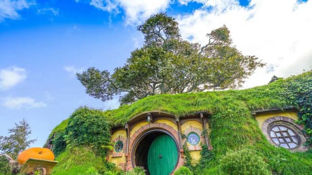 Hobbiton™ Movie Set Tours